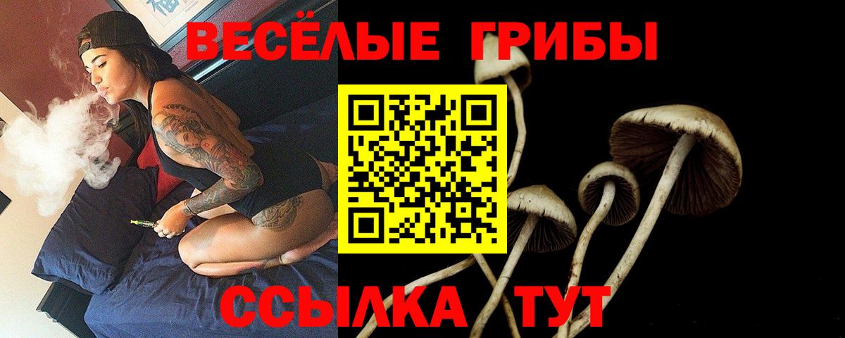 Галлюциногенные грибы мухоморы Якутск